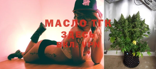 сатива Алексеевка