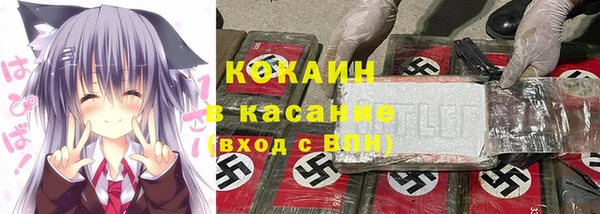 сатива Алексеевка