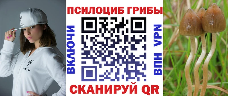 Галлюциногенные грибы MAGIC MUSHROOMS  Трёхгорный 